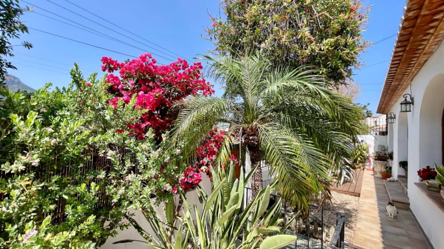 6 sypialnia Willa na sprzedaż w Alcalali / Alcanali z basenem garażem - 649 950 € (Ref: 9383946)