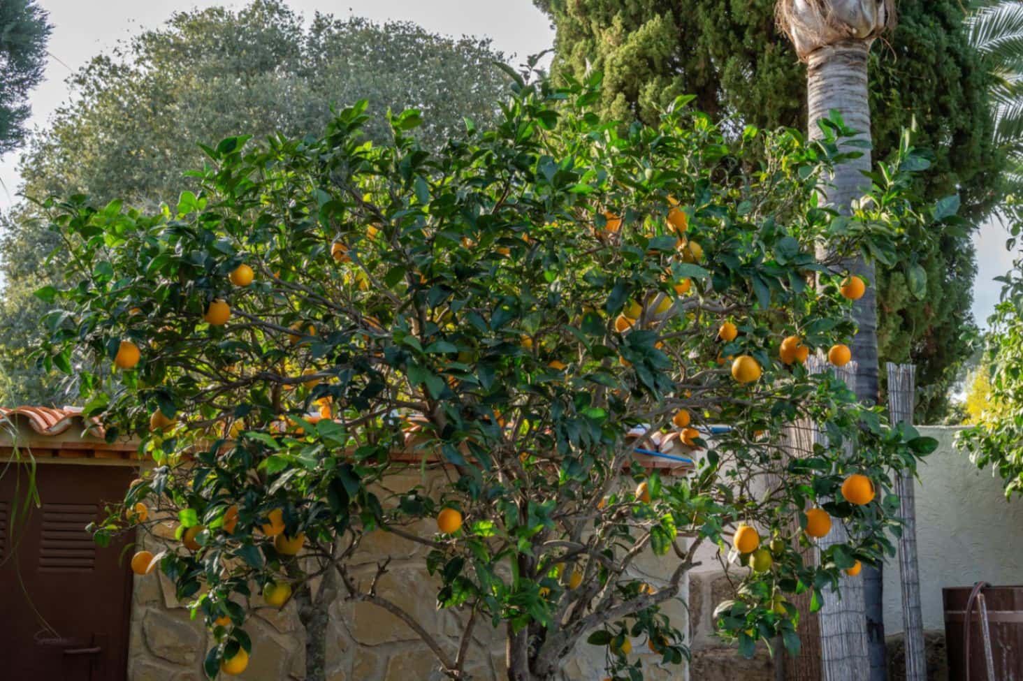 3 chambre Villa/Maison à vendre à Javea / Xabia avec piscine garage - 895 000 € (Ref: 9444615)