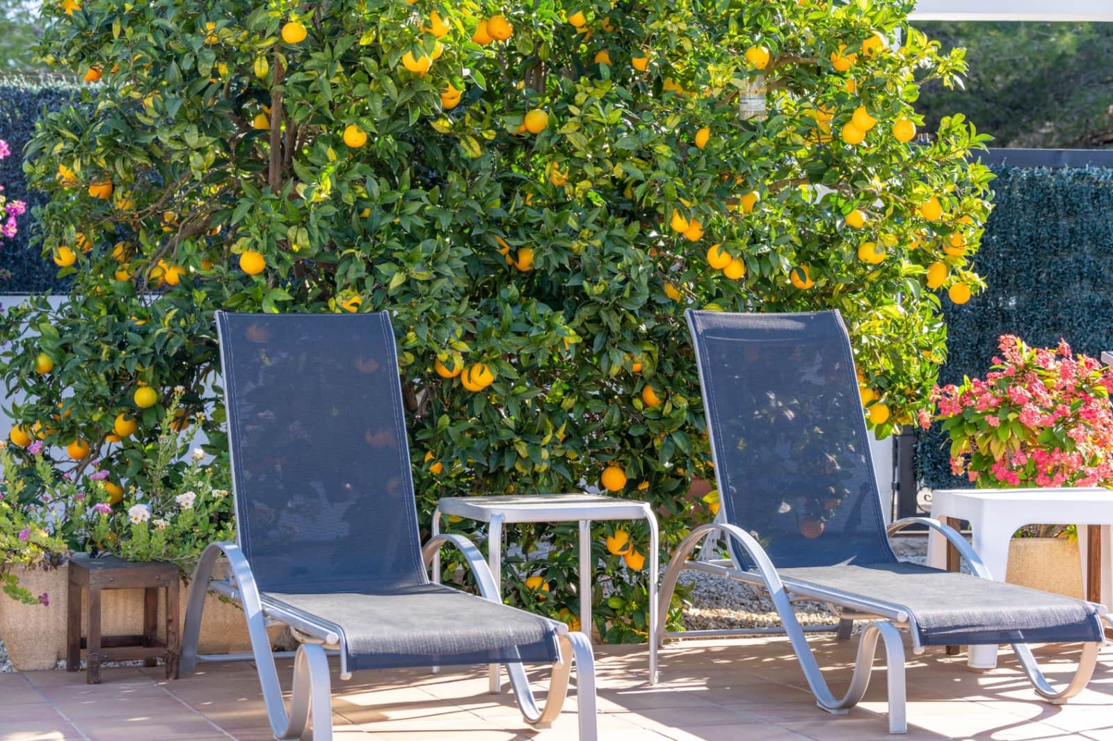 3 chambre Villa/Maison à vendre à Javea / Xabia - 669 000 € (Ref: 9444616)