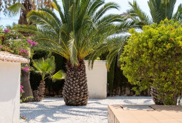 3 Zimmer Villa zu verkaufen in Javea / Xàbia mit Pool - 565.000 € (Ref: 9444620)