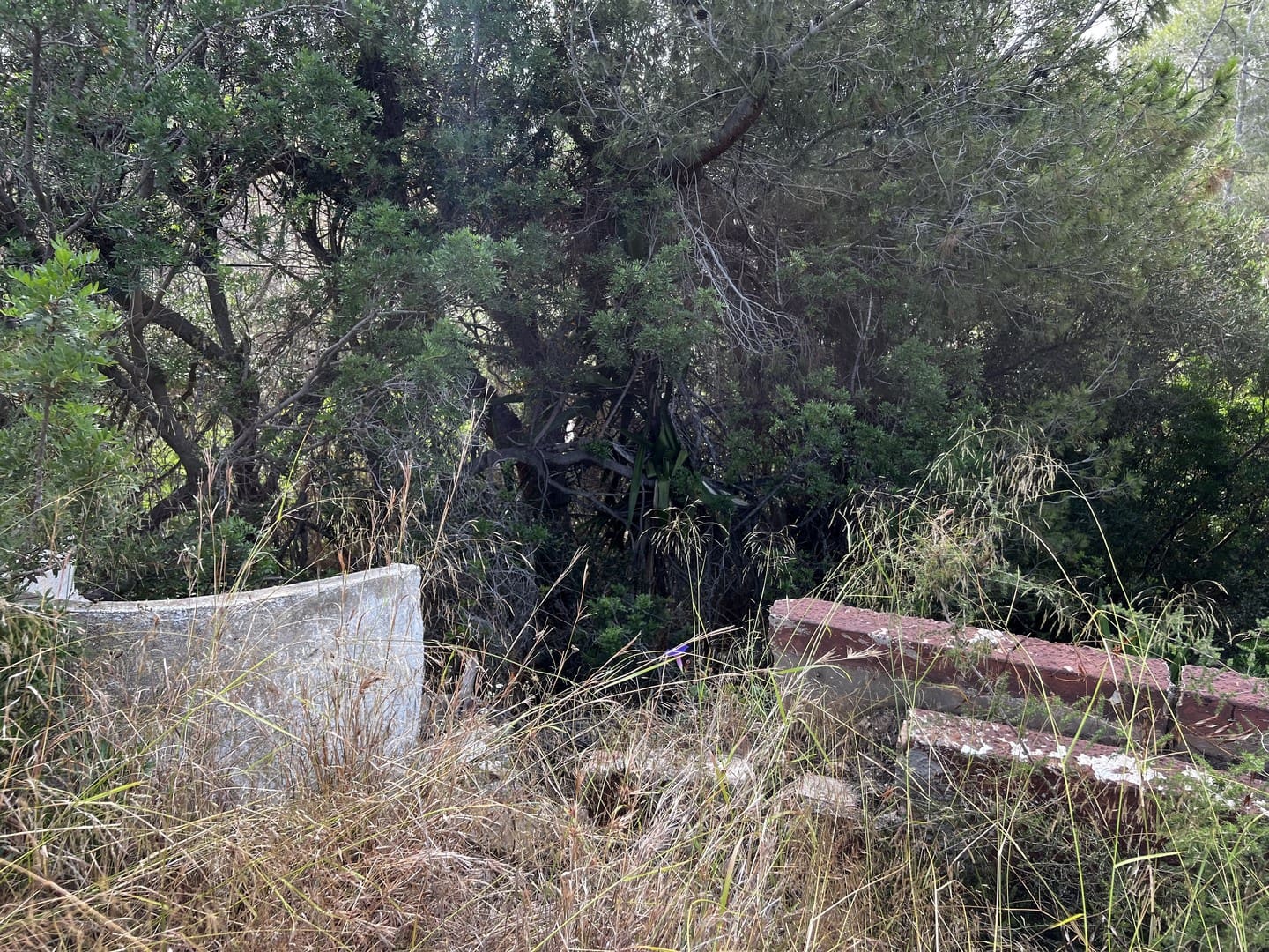 5 soveværelse Villa til salg i Benissa med swimmingpool - € 685.000 (Ref: 9563850)