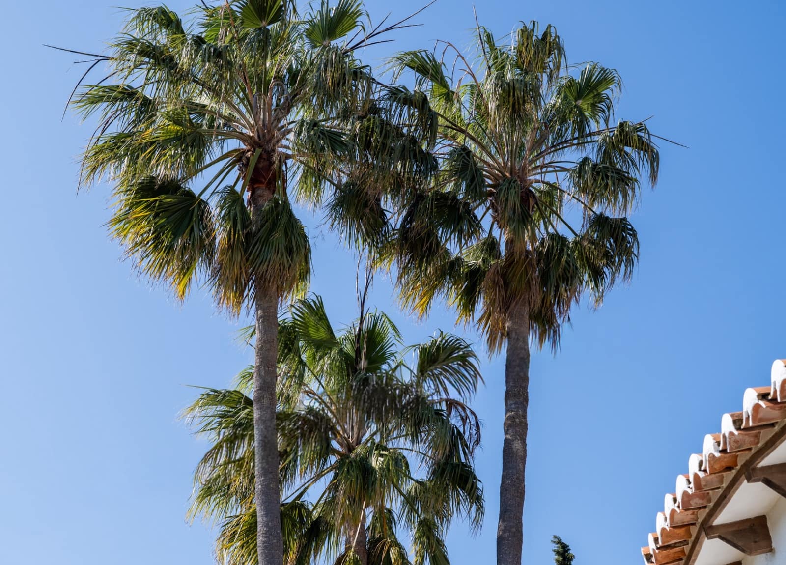 4 sypialnia Willa na sprzedaż w Javea / Xabia z garażem - 599 000 € (Ref: 9760999)