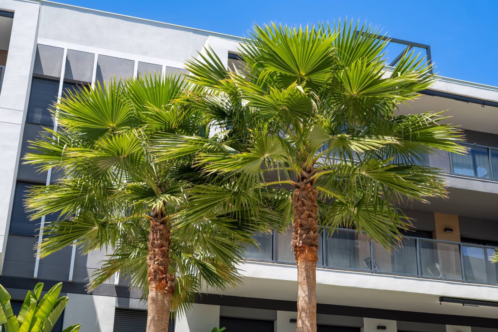 3 slaapkamer Penthouse te koop in Javea / Xabia met garage - € 620.000 (Ref: 9873904)