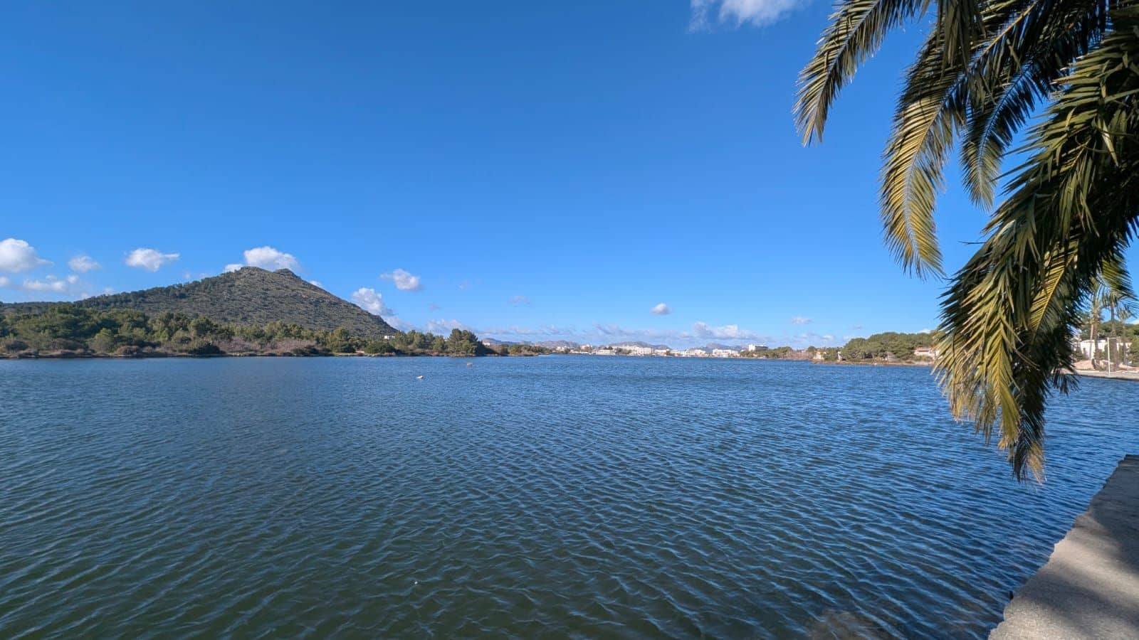 3 chambre Maison de Ville à vendre à Puerto de Alcudia avec piscine garage - 645 000 € (Ref: 10021723)