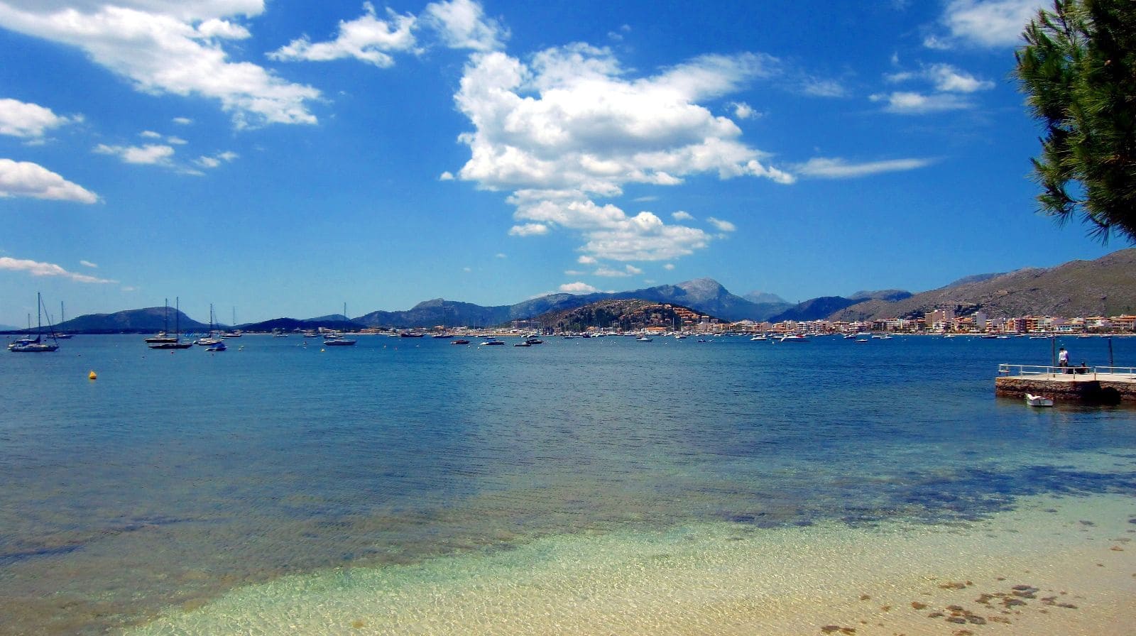 Comercial para venda em Pollensa / Pollenca - 280 000 € (Ref: 10023361)