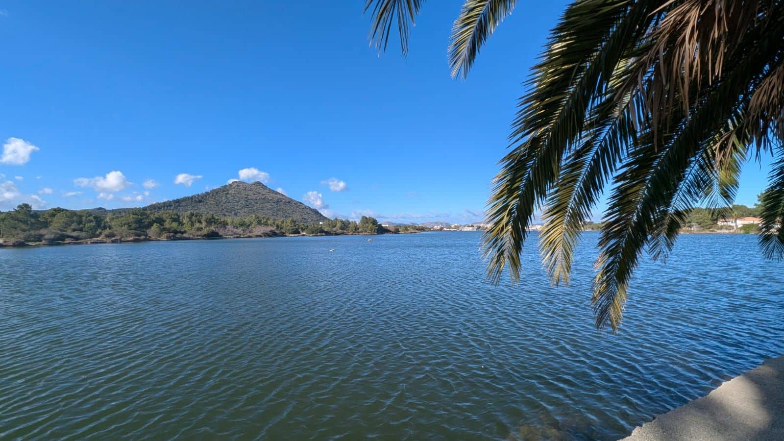 2 sypialnia Penthouse na sprzedaż w Puerto de Alcudia - 410 000 € (Ref: 10037673)