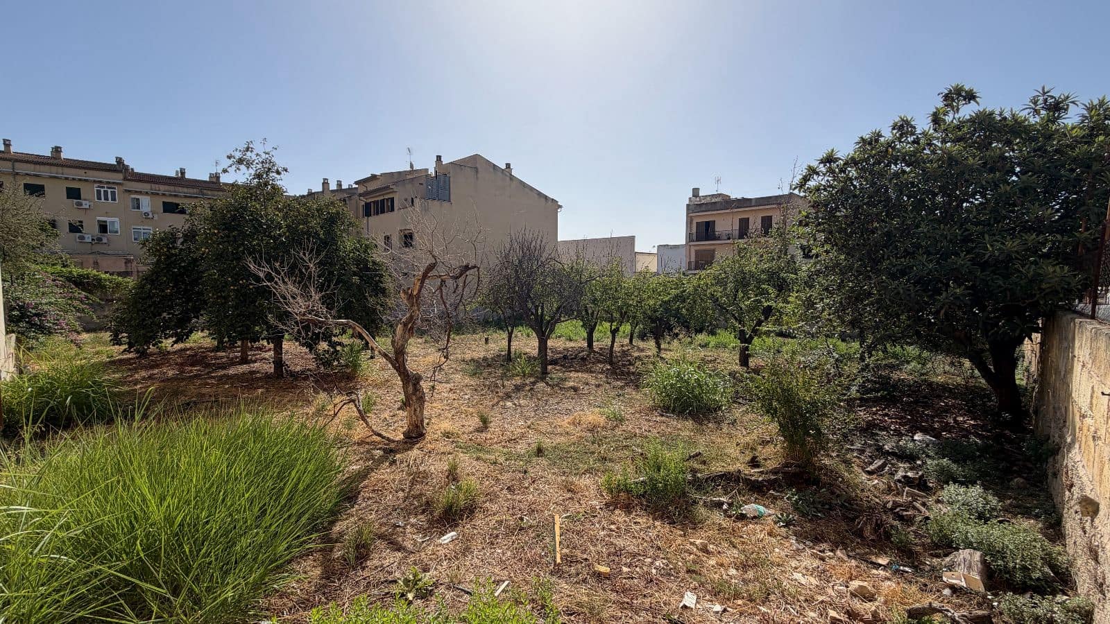 Bauplatz zu verkaufen in Lloseta - 1.065.000 € (Ref: 10044093)