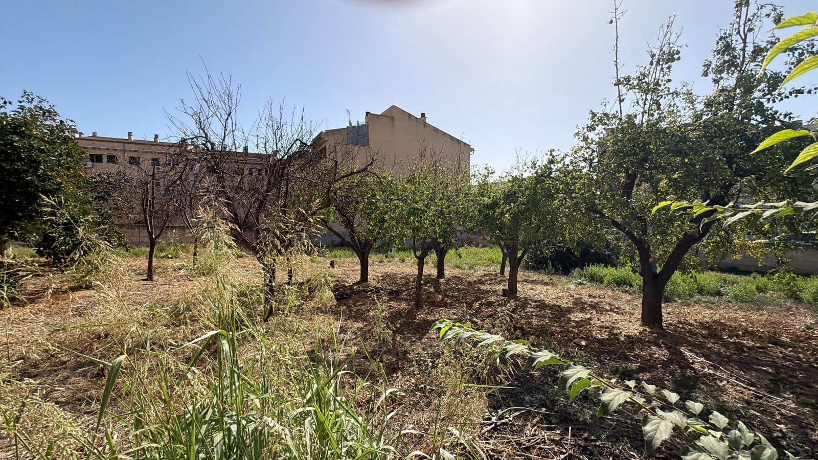 Bauplatz zu verkaufen in Lloseta - 1.065.000 € (Ref: 10044093)