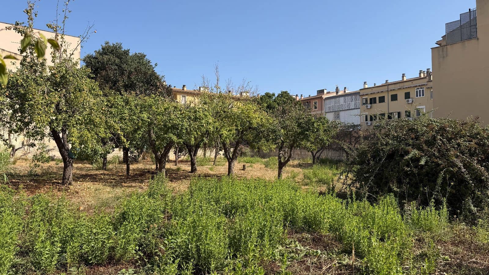Bauplatz zu verkaufen in Lloseta - 1.065.000 € (Ref: 10044093)