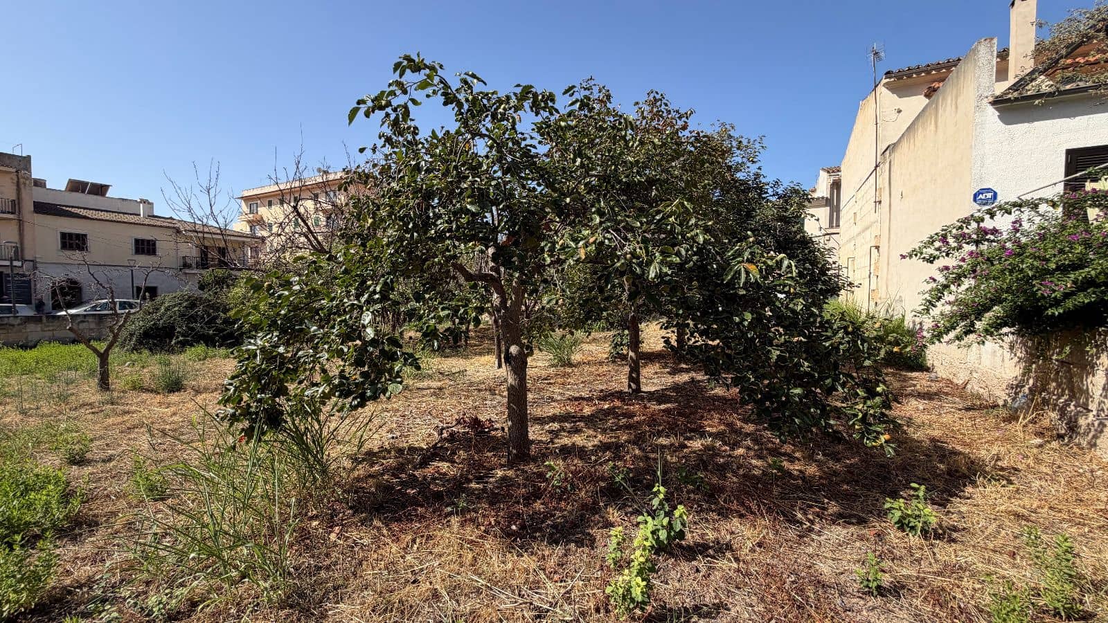 Bauplatz zu verkaufen in Lloseta - 1.065.000 € (Ref: 10044093)