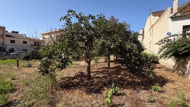 Bauplatz zu verkaufen in Lloseta - 1.065.000 € (Ref: 10044093)