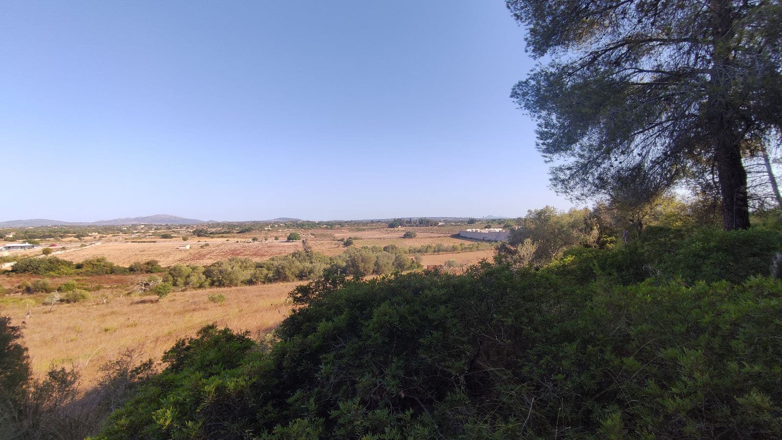 Terreno Não Urbanizado para venda em Santa Margalida - 1 600 000 € (Ref: 10060562)