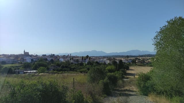 Terreno Não Urbanizado para venda em Santa Margalida - 1 600 000 € (Ref: 10060562)