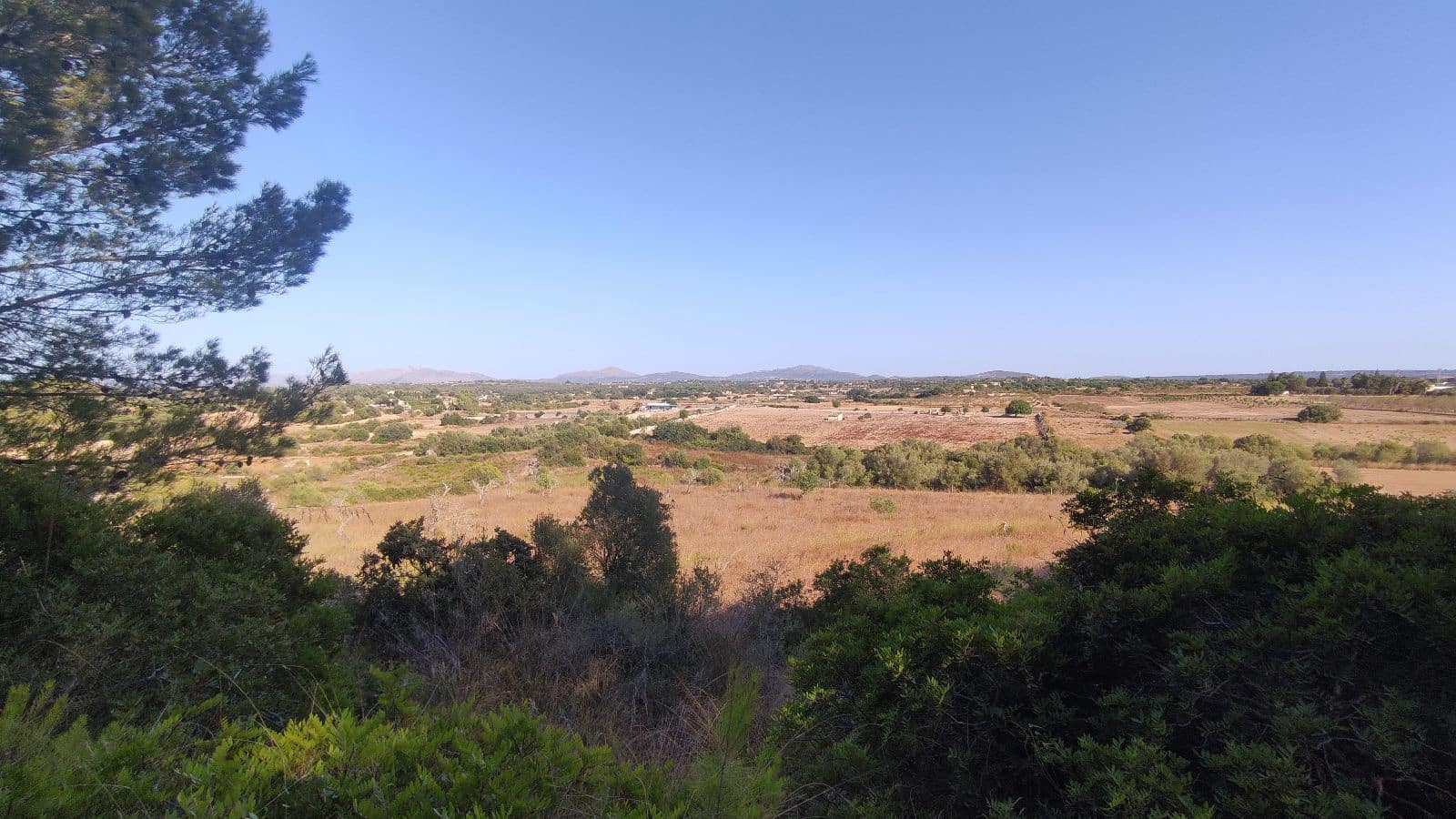 Terreno Não Urbanizado para venda em Santa Margalida - 1 600 000 € (Ref: 10060562)