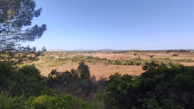 Terreno Não Urbanizado para venda em Santa Margalida - 1 600 000 € (Ref: 10060562)
