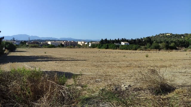 Terreno Não Urbanizado para venda em Santa Margalida - 1 600 000 € (Ref: 10060562)