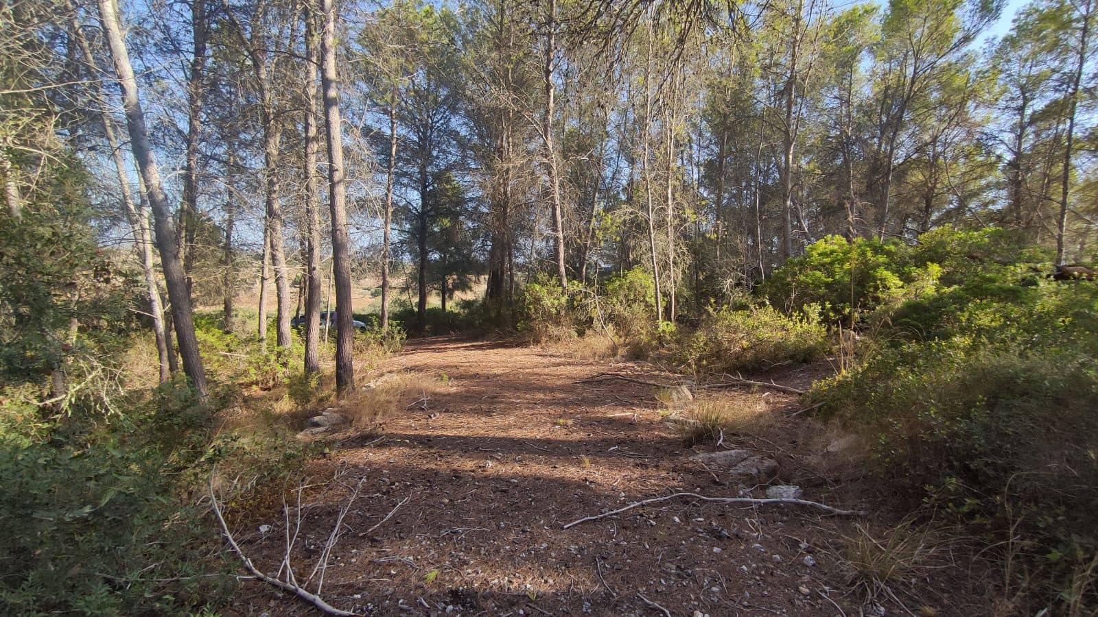 Terreno Não Urbanizado para venda em Santa Margalida - 1 600 000 € (Ref: 10060562)