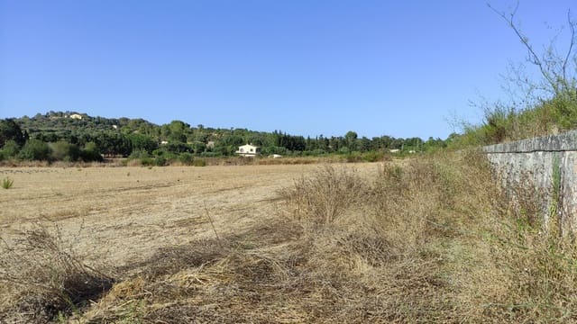 Terreno Não Urbanizado para venda em Santa Margalida - 1 600 000 € (Ref: 10060562)