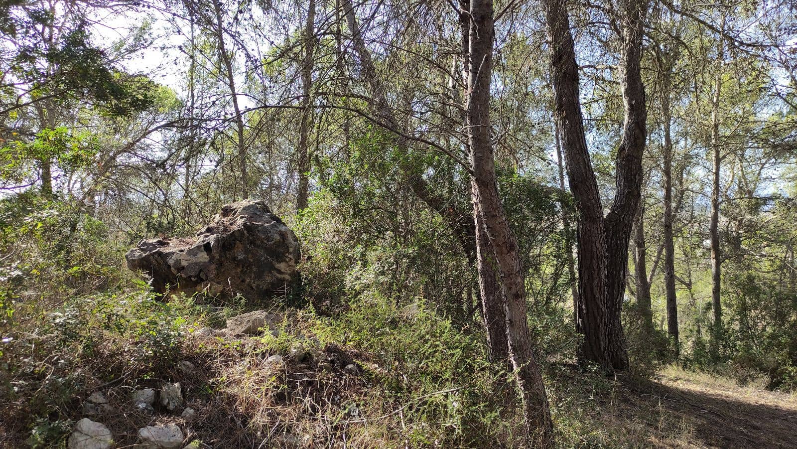 Terreno Não Urbanizado para venda em Santa Margalida - 1 600 000 € (Ref: 10060562)