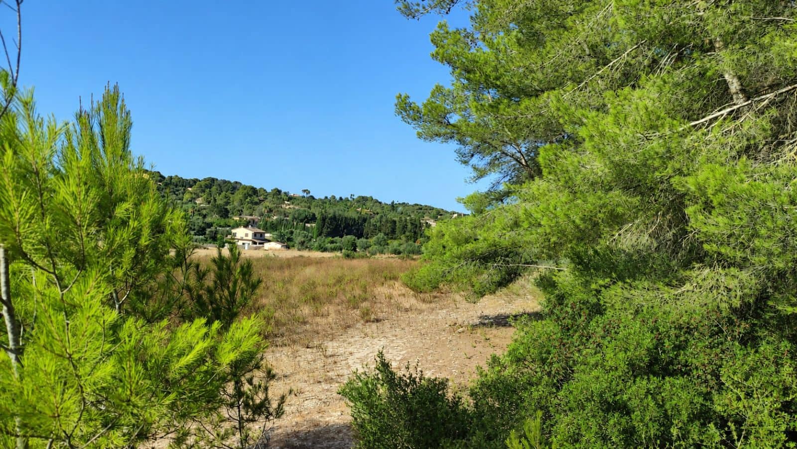 Terreno Não Urbanizado para venda em Santa Margalida - 1 600 000 € (Ref: 10060562)