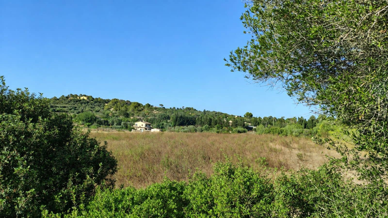 Terreno Não Urbanizado para venda em Santa Margalida - 1 600 000 € (Ref: 10060562)