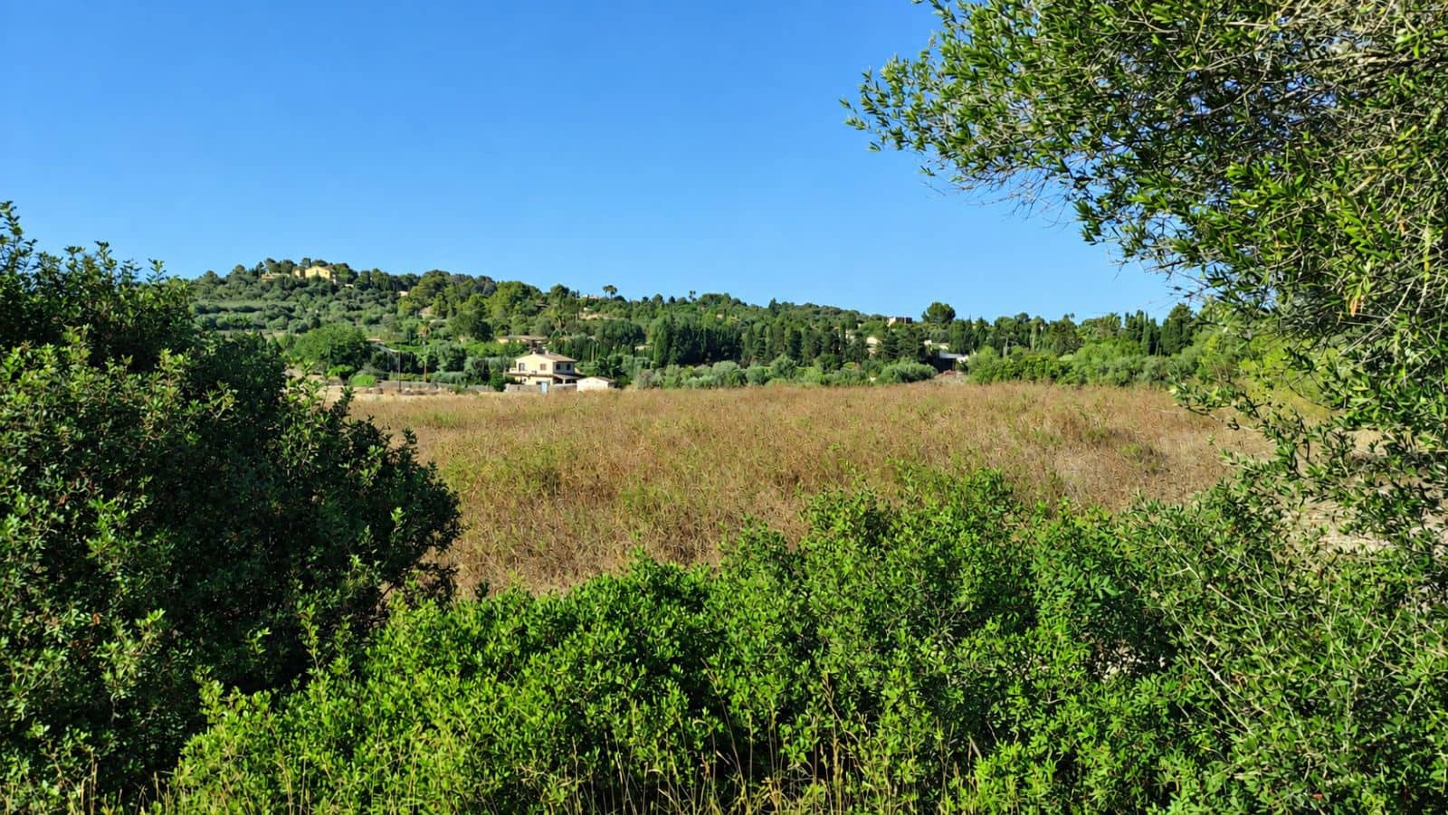 Terreno Não Urbanizado para venda em Santa Margalida - 1 600 000 € (Ref: 10060562)