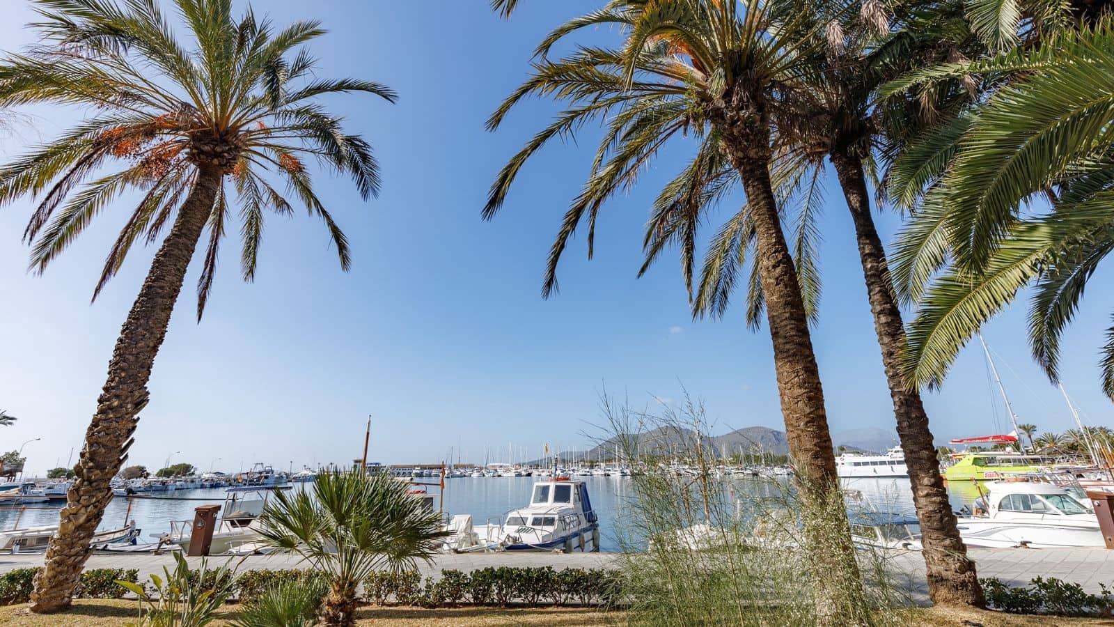3 sypialnia Mieszkanie na sprzedaż w Puerto de Alcudia - 479 000 € (Ref: 10154231)