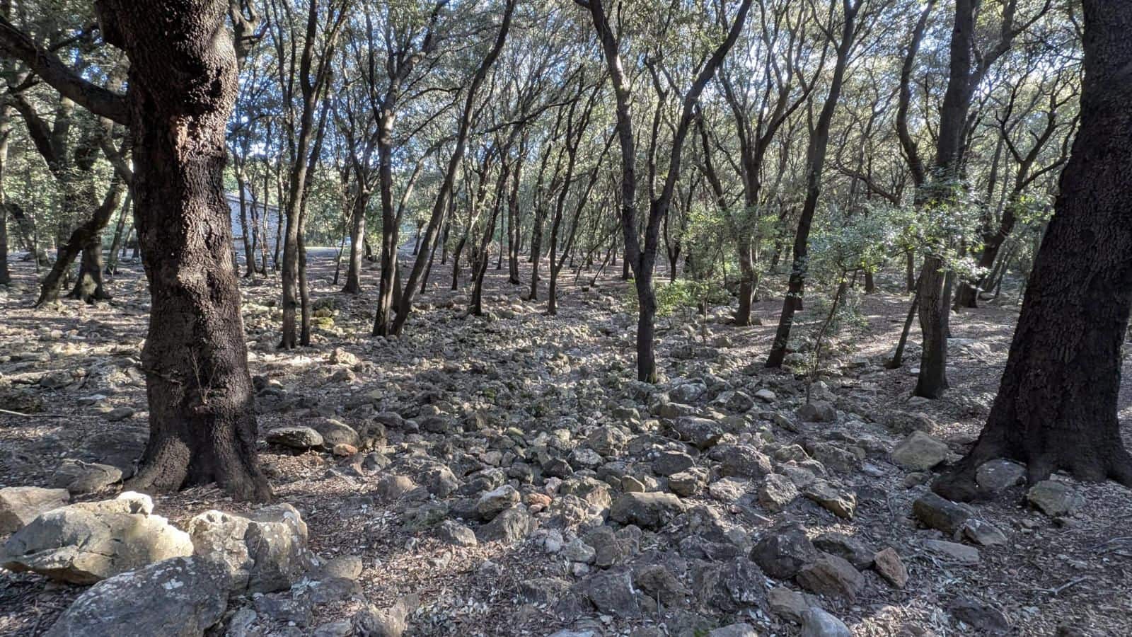 Casa in vendita in Moscari con garage - 480.000 € (Rif: 7450854)