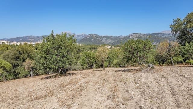 Undeveloped Land for sale in Ullaro, Campanet - € 590,000 (Ref: 7450868)