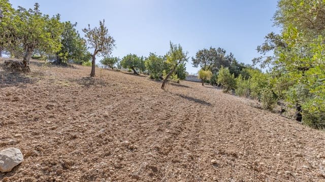 Undeveloped Land for sale in Ullaro, Campanet - € 590,000 (Ref: 7450868)