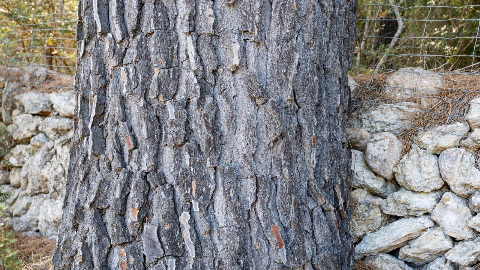 Grunde uden byggetilladelser til salg i Ullaro - € 590.000 (Ref: 7450868)