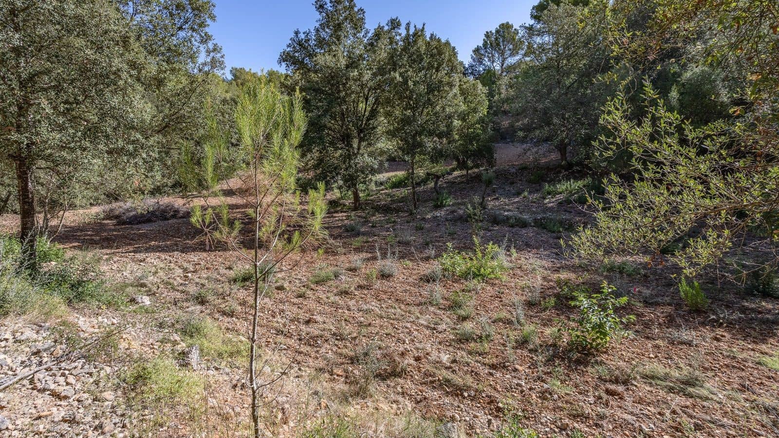 Grunde uden byggetilladelser til salg i Ullaro - € 590.000 (Ref: 7450868)