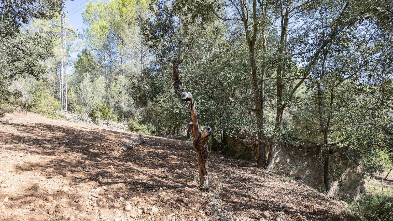 Grunde uden byggetilladelser til salg i Ullaro - € 590.000 (Ref: 7450868)