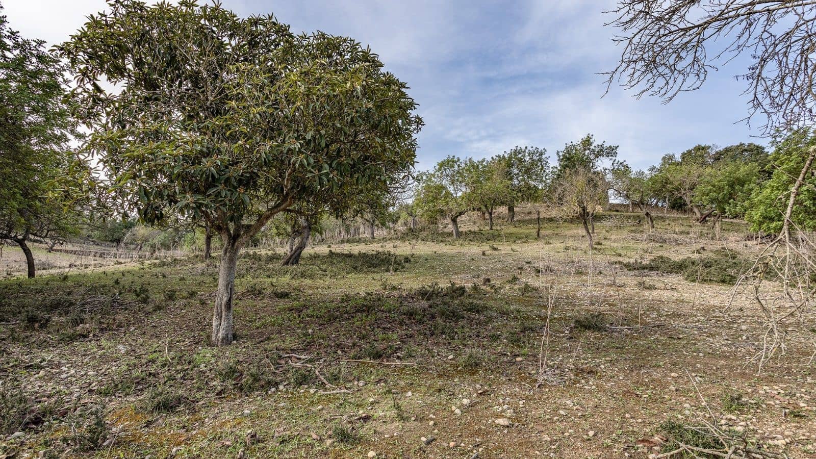 1 quarto Quinta/Casa Rural para venda em Ullaro - 235 000 € (Ref: 7450869)