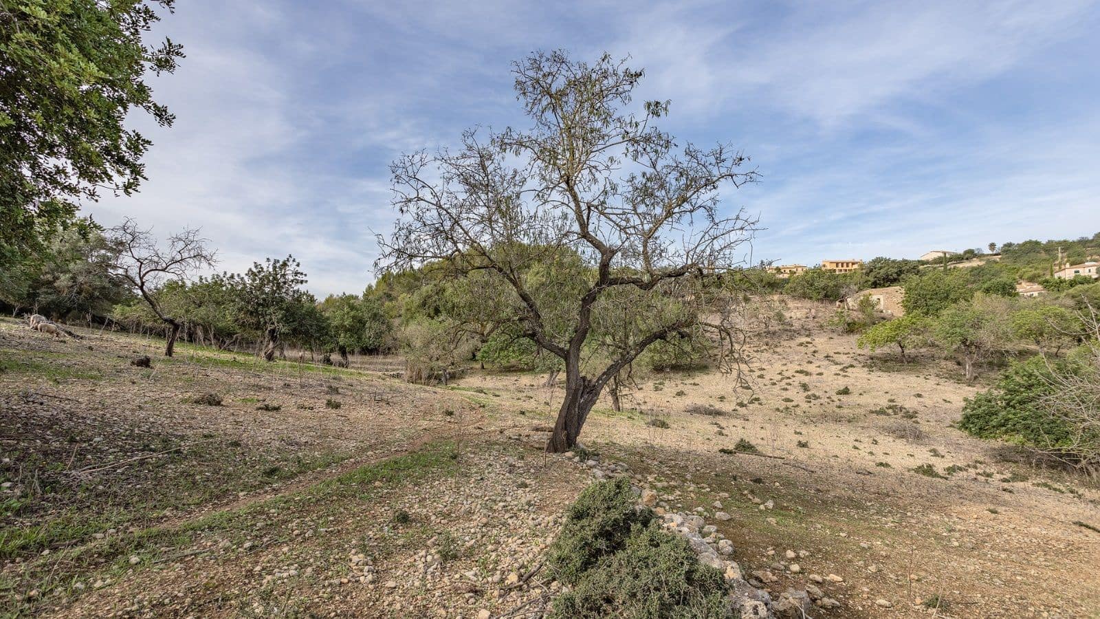 1 quarto Quinta/Casa Rural para venda em Ullaro - 235 000 € (Ref: 7450869)