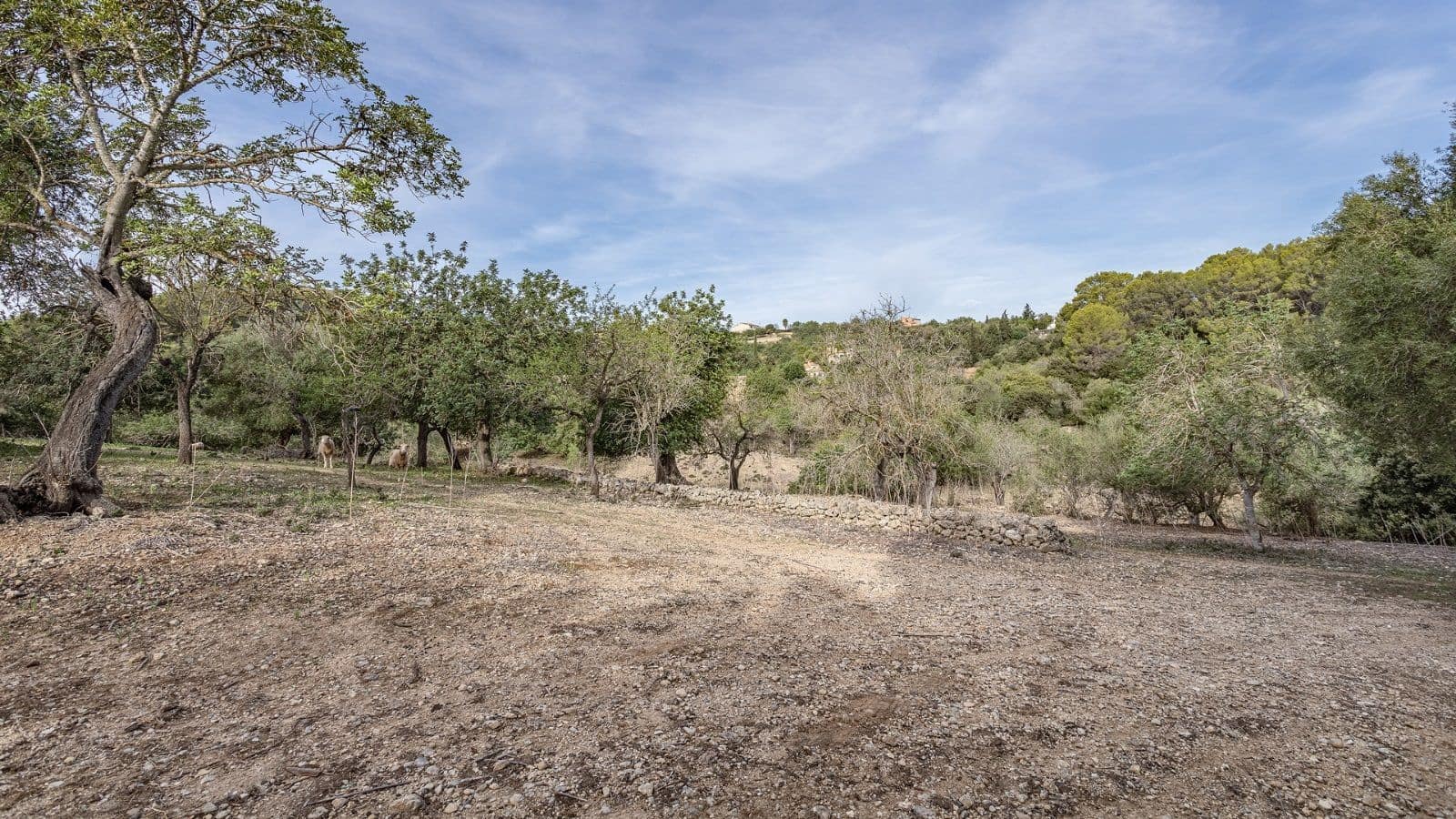 1 quarto Quinta/Casa Rural para venda em Ullaro - 235 000 € (Ref: 7450869)