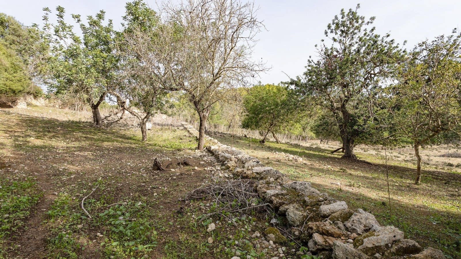 1 quarto Quinta/Casa Rural para venda em Ullaro - 235 000 € (Ref: 7450869)