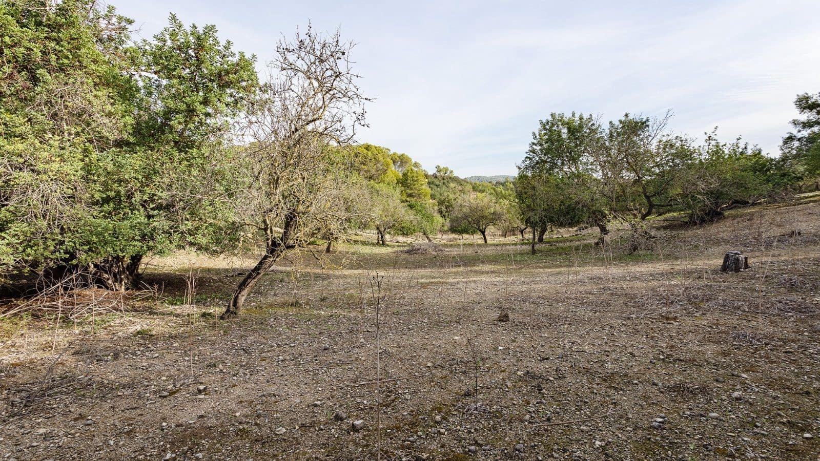 1 quarto Quinta/Casa Rural para venda em Ullaro - 235 000 € (Ref: 7450869)