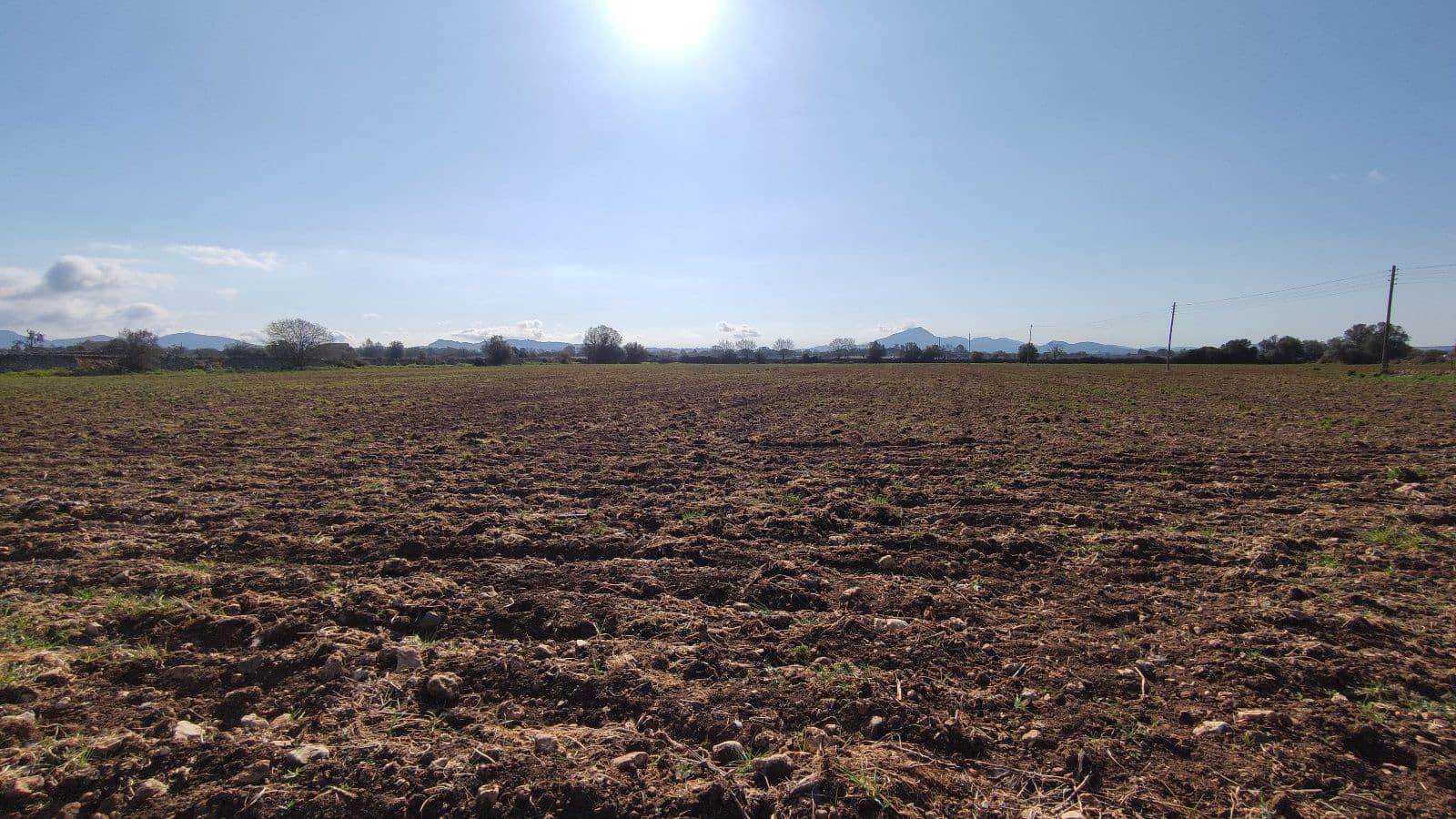 8 sypialnia Finka/Dom wiejski na sprzedaż w Manacor z garażem - 2 000 000 € (Ref: 7450877)