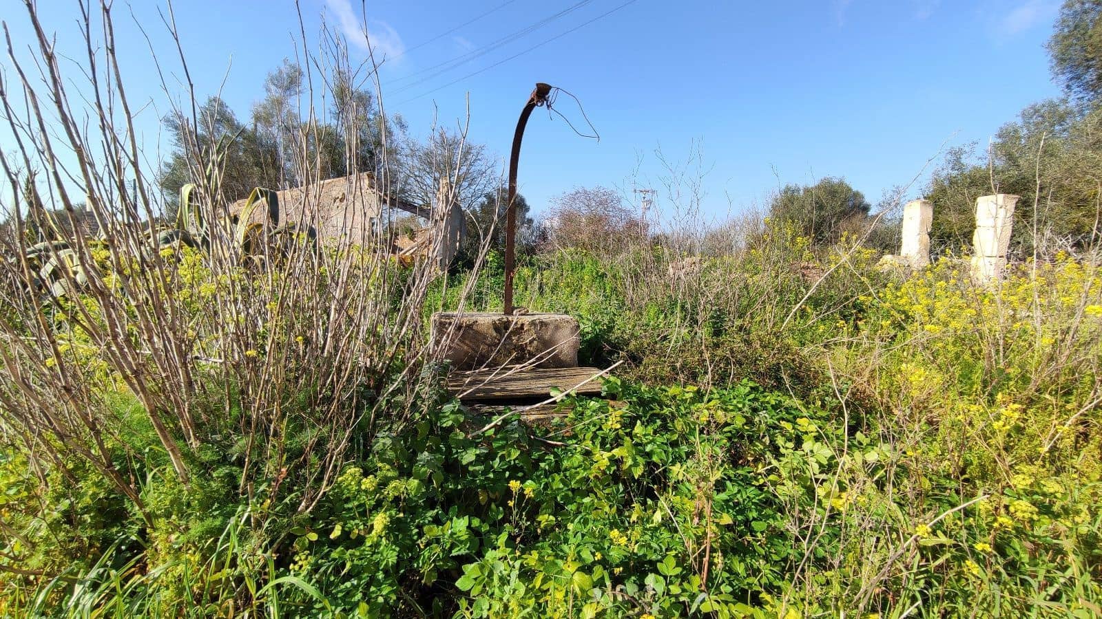 8 sypialnia Finka/Dom wiejski na sprzedaż w Manacor z garażem - 2 000 000 € (Ref: 7450877)