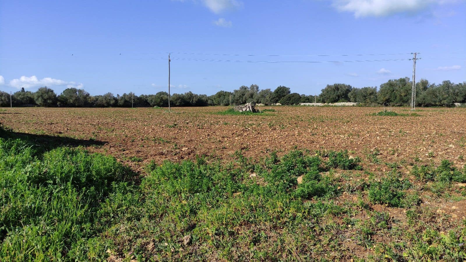 8 sypialnia Finka/Dom wiejski na sprzedaż w Manacor z garażem - 2 000 000 € (Ref: 7450877)