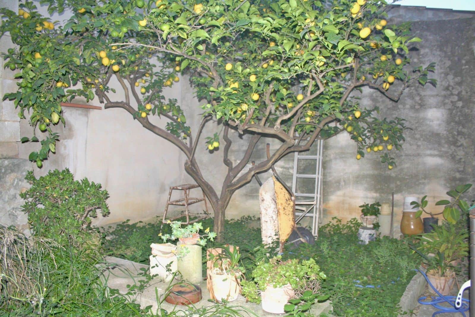 3 camera da letto Casa in vendita in Pollensa / Pollenca - 479.000 € (Rif: 7450890)