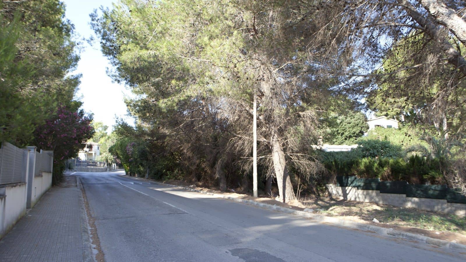 Działka budowlana na sprzedaż w Alcudia - 159 000 € (Ref: 7450895)