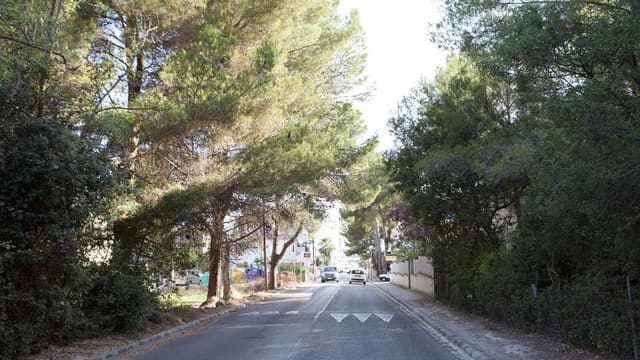 Byggegrund til salg i Mal Pas-Bon Aire, Alcúdia - € 159.000 (Ref: 7450895)