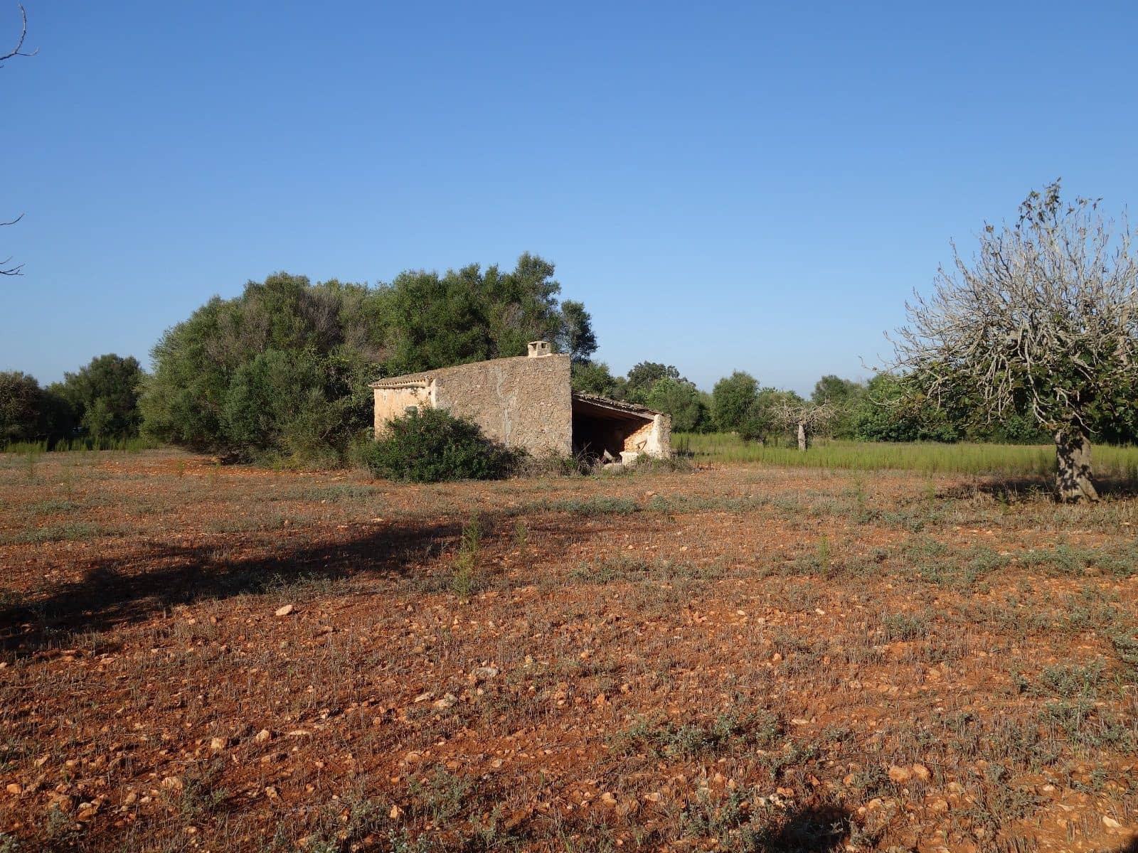 Terreno Não Urbanizado para venda em Felanitx - 375 000 € (Ref: 7450906)