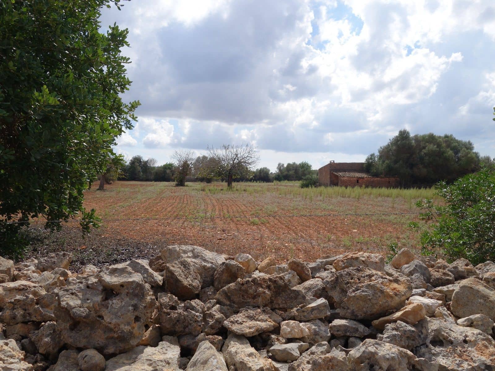 Terreno Não Urbanizado para venda em Felanitx - 375 000 € (Ref: 7450906)