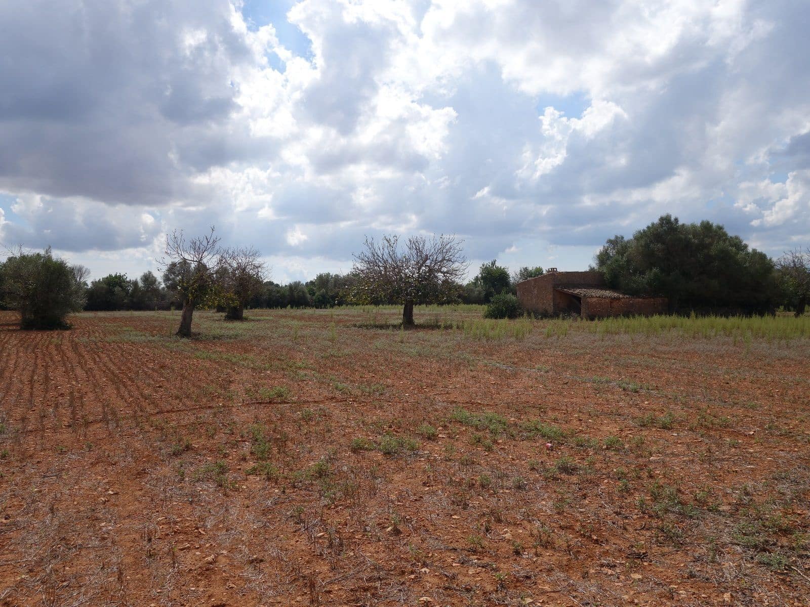 Terreno Não Urbanizado para venda em Felanitx - 375 000 € (Ref: 7450906)