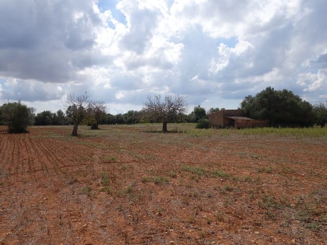 Terreno Não Urbanizado para venda em Felanitx - 375 000 € (Ref: 7450906)