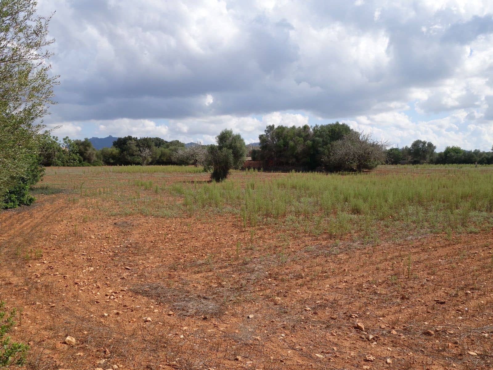 Terreno Não Urbanizado para venda em Felanitx - 375 000 € (Ref: 7450906)