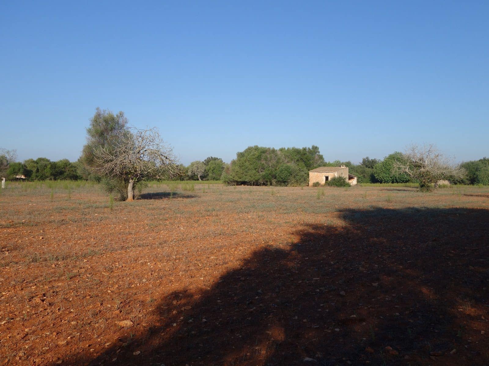 Terreno Não Urbanizado para venda em Felanitx - 375 000 € (Ref: 7450906)